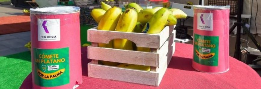 Ralarsa colaborando con «Cómete un Plátano por La Palma»